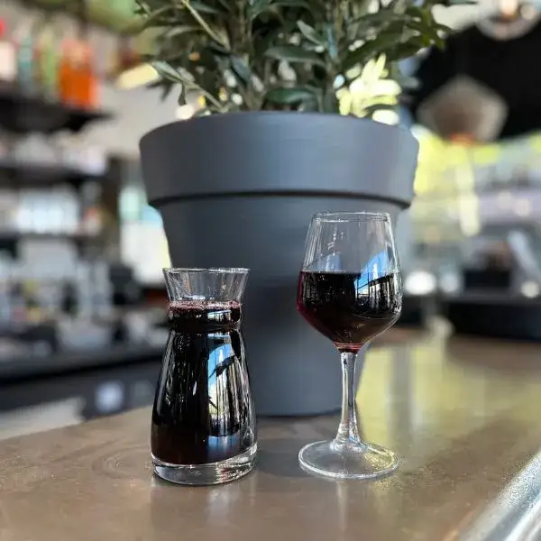 Merlot Vino d’Italia verre 15 cl (rouge)